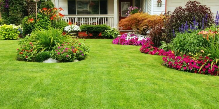 O segredo para ter um gramado perfeito sem gastar com jardineiro