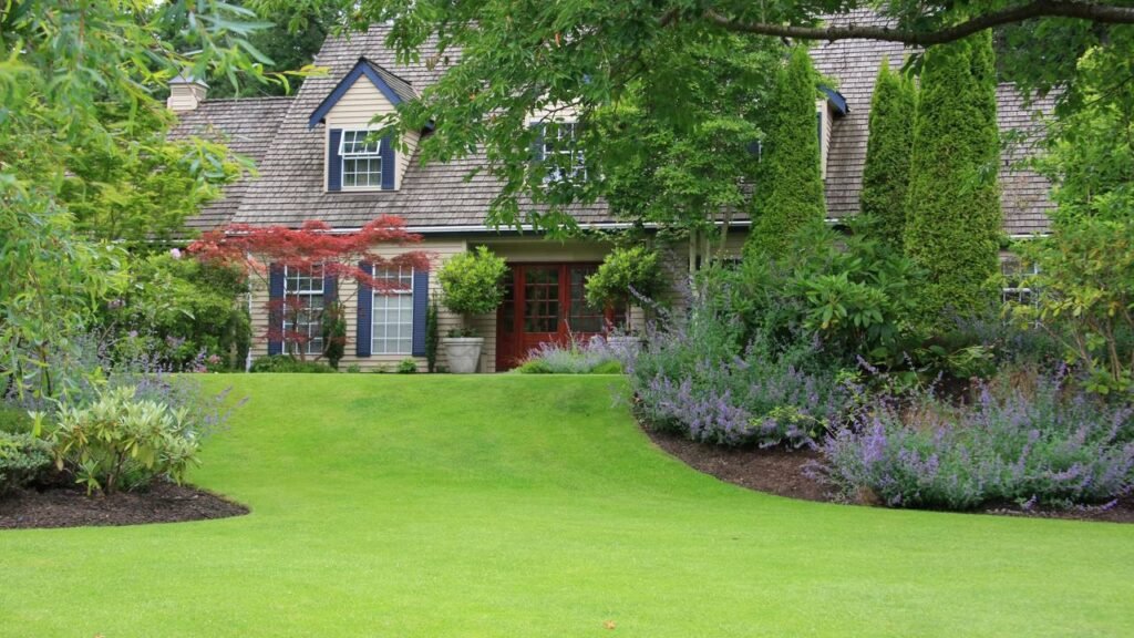 O segredo para ter um gramado perfeito sem gastar com jardineiro