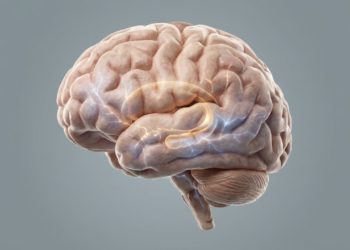 Seleção de alimentos nutritivos que auxiliam no desempenho cognitivo e na memória