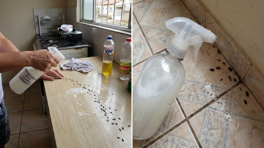 Preparo de solução caseira com detergente em frasco borrifador para afastar insetos e mosquitos de ambientes domésticos