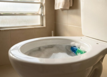 Vaso sanitário brilhando com espuma e aromatizador bem encaixado.