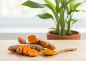 A raiz dourada que pode apoiar o fígado e reduzir inflamações, e ainda é fácil de plantar em casa