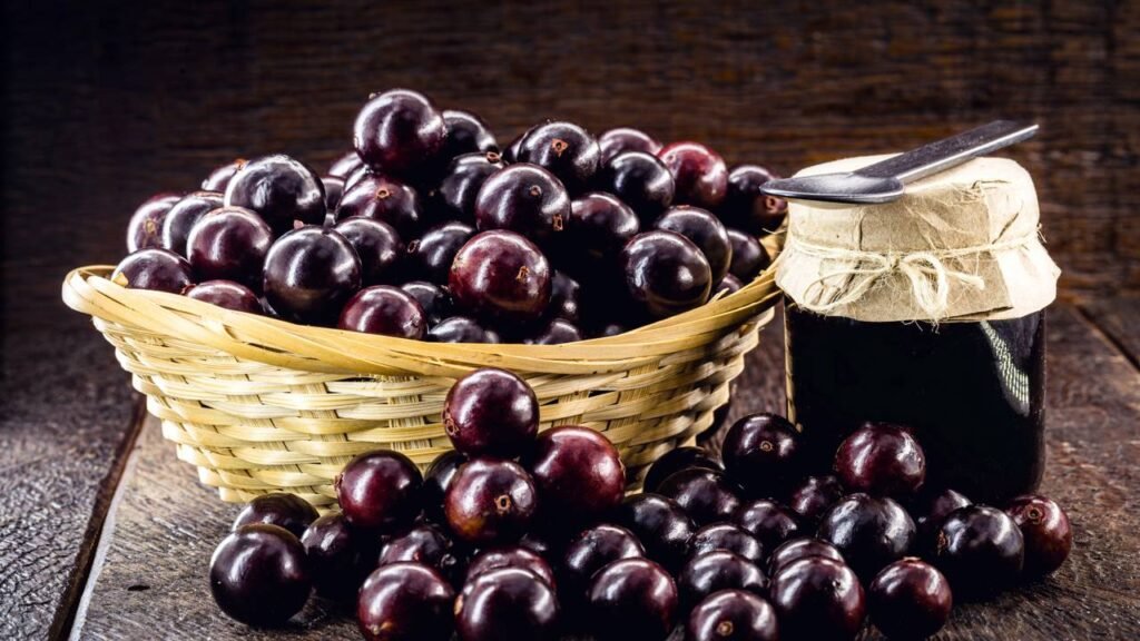 Detalhe de frutos de jabuticaba frescos colhidos diretamente do tronco de uma árvore frutífera