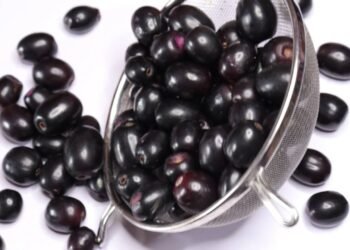 O segredo roxo das calçadas que pode retardar o envelhecimento