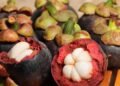 A fruta roxa chamada rainha pode surpreender pelos antioxidantes e pelo cultivo sustentável