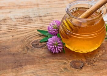 5 alimentos para substituir o açúcar que não elevam sua insulina