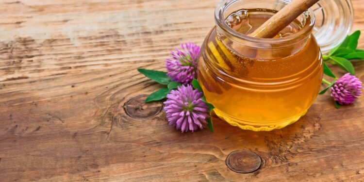 5 alimentos para substituir o açúcar que não elevam sua insulina