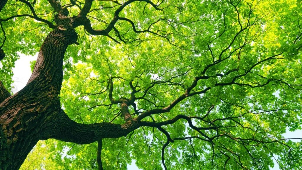 Nomes de bebês com inspiração na natureza: 20 ideias modernas e cheias de significado