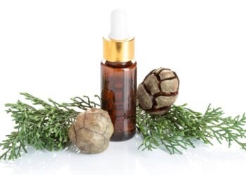 Óleo de cipreste pode aliviar dor e inchaço das varizes