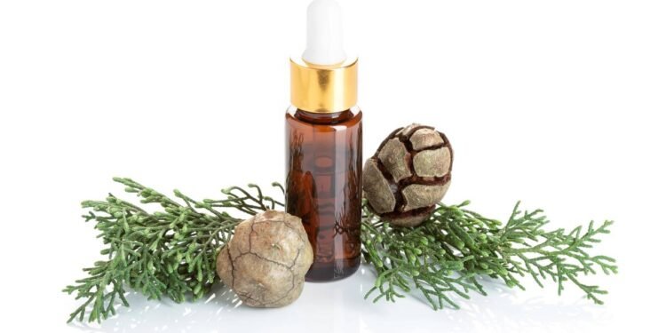 óleo de cipreste - Créditos: depositphotos.com / andresvic