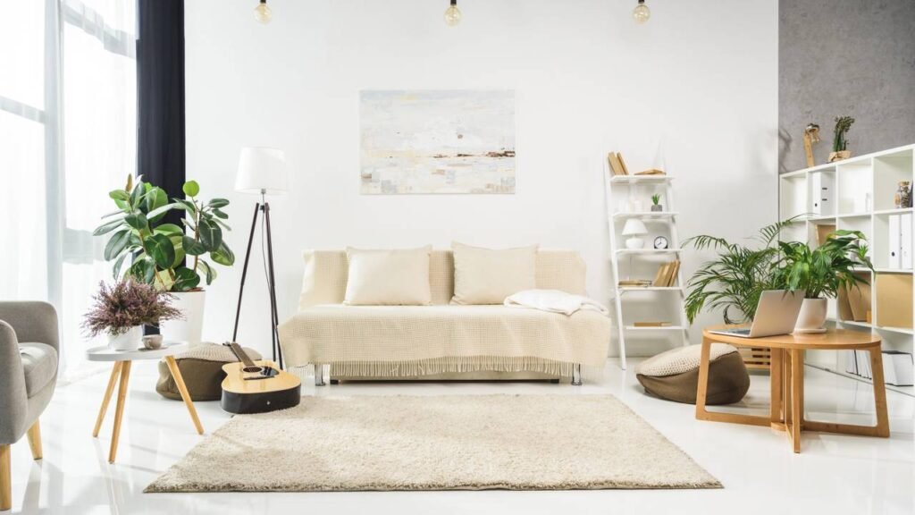 5 Erros fatais que estão matando suas plantas do interior de casa