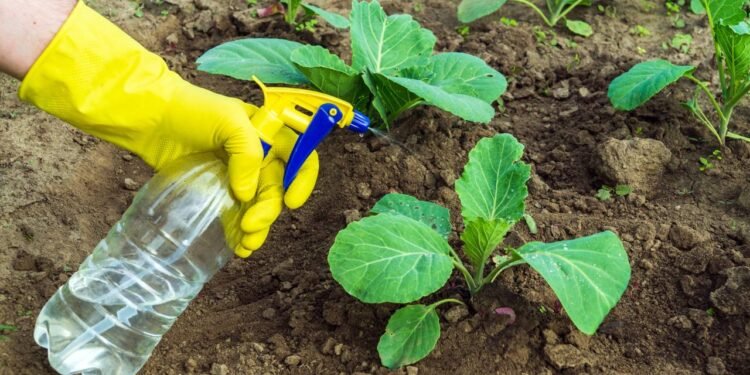 Como eliminar pragas de jardim usando apenas detergente e vinagre