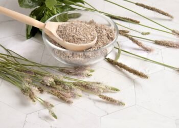 Sementes naturais em uma colher de madeira sobre mesa rústica