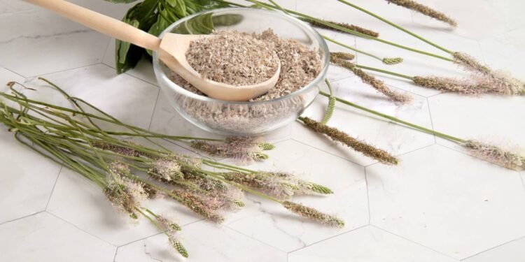 Sementes naturais em uma colher de madeira sobre mesa rústica