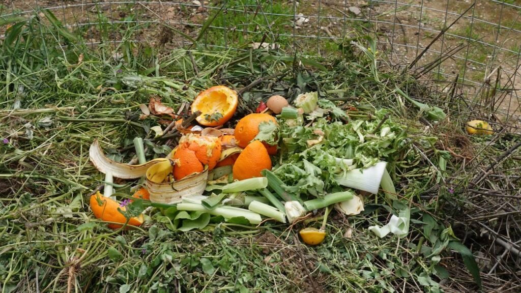 Adubo orgânico sem gastar: como usar restos de vegetais para fortalecer plantas