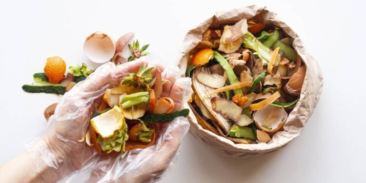 Como fazer adubo orgânico em casa usando apenas restos de cozinha