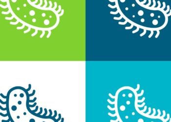 Os sintomas discretos de vermes que podem afetar energia e apetite