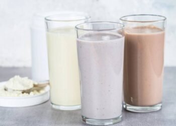 Processos fisiológicos e absorção de nutrientes após o consumo de proteína isolada