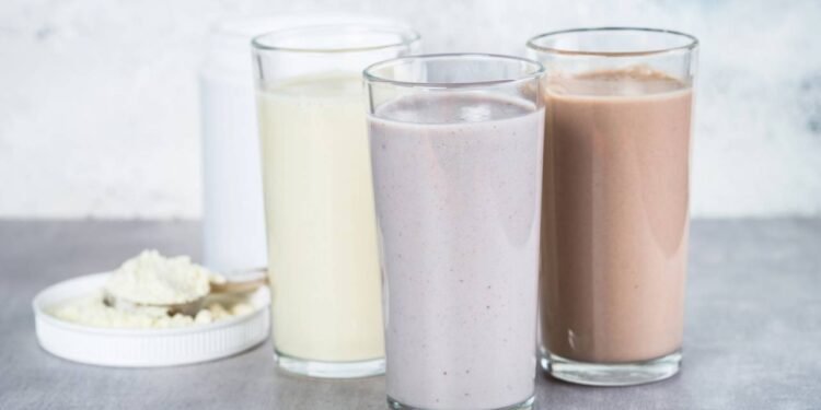 Processos fisiológicos e absorção de nutrientes após o consumo de proteína isolada