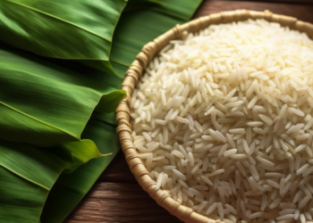 Por que você deveria colocar arroz cru na terra do potus