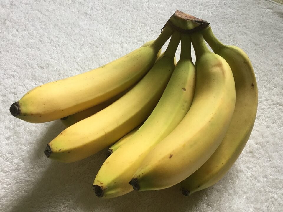 Os 5 alimentos que você come hoje e que podem desaparecer em 50 anos