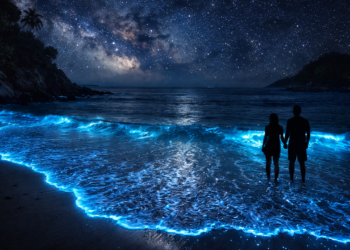 Poucos sabem qual é a explicação para o mar brilhar à noite em algumas praias