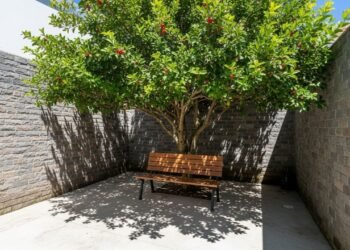 A árvore frutífera ideal para quintais pequenos que dá sombra o ano todo e ainda rende chá caseiro