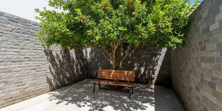 A árvore frutífera ideal para quintais pequenos que dá sombra o ano todo e ainda rende chá caseiro
