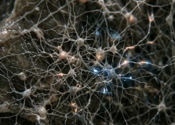 Poucos sabem, mas o corpo humano produz eletricidade suficiente para acender pequenas células nervosas o tempo todo