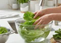 Como lavar alface para remover bactérias e resíduos de pesticidas do jeito certo