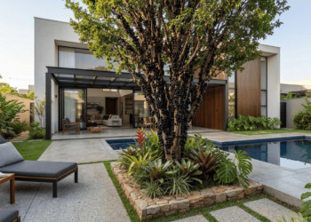 Árvores comuns nos quintais de antigamente volta a ser plantada em condomínios e jardins modernos