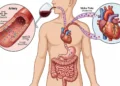 O que o vinho tinto faz no intestino e na saúde cardiovascular