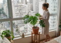 Poucos sabem o que significa dormir com uma planta no quarto