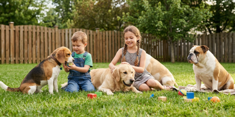 As raças de cães mais indicadas para conviver com crianças pequenas dentro de casa
