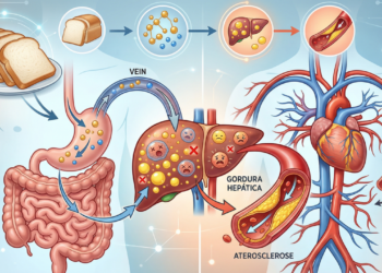 O que o pão branco faz no fígado e na saúde cardiovascular