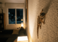O que significa quando uma lagartixa aparece dentro de casa à noite