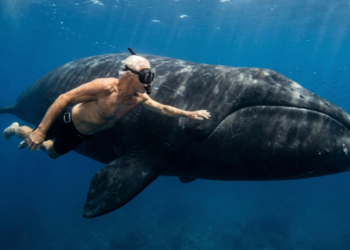 Um estudo americano mostra que humanos poderiam viver até 200 anos se seu método fosse aplicado