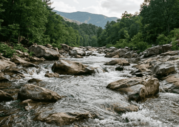 O que significa a frase “Seja água, meu amigo”, a expressão que ficou famosa com Bruce Lee