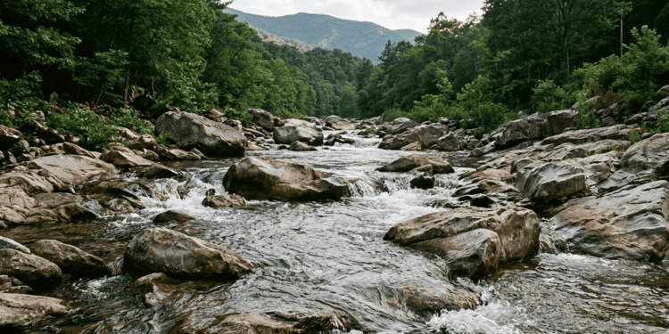 O que significa a frase “Seja água, meu amigo”, a expressão que ficou famosa com Bruce Lee