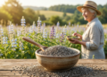 Por que essa semente é considerada um superalimento para os ossos