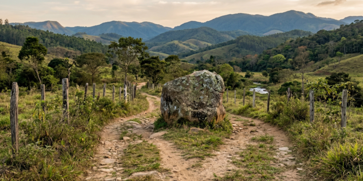 Carlos Drummond de Andrade, poeta: “No meio do caminho tinha uma pedra.”