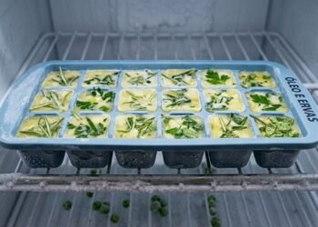 O método de congelar ervas frescas no azeite que garante temperos perfeitos o ano inteiro