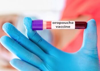 Novo vírus Oropouche no Sudeste acende alerta com sintomas fortes e retorno inesperado