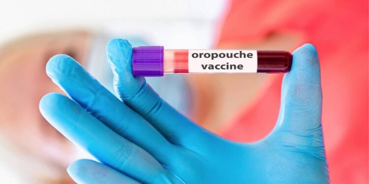 Estudo revela sinais do vírus Oropouche que confundem com dengue e preocupam especialistas - Créditos: depositphotos.com / arvydele.gmail.com