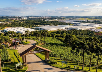 Com 80% de área verde, esta cidade paranaense mais antiga que Curitiba, abriga 4 montadoras globais e produz vinhos