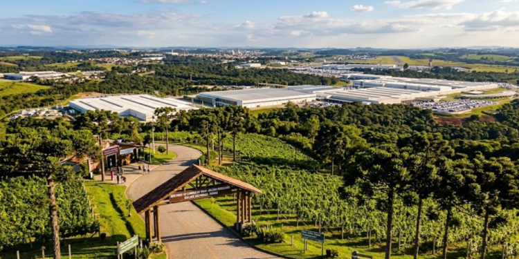 Com 80% de área verde, esta cidade paranaense mais antiga que Curitiba, abriga 4 montadoras globais e produz vinhos