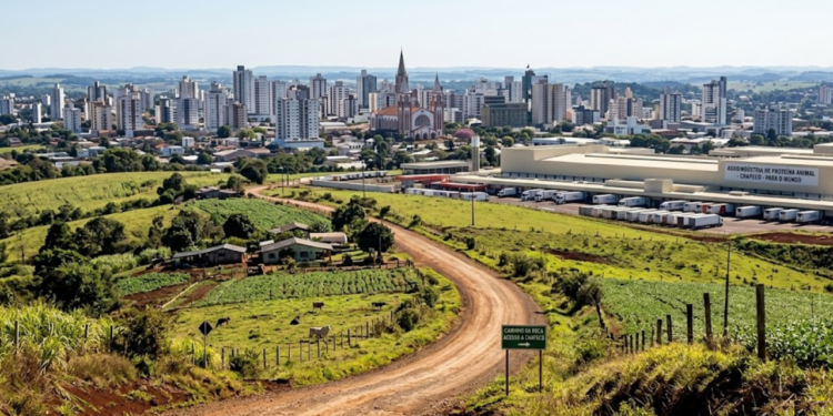 Onde se avista o caminho da roça, a maior cidade do interior de Santa Catarina produz proteína para o mundo