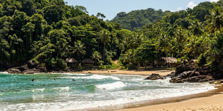 O Havaí Baiano ficou escondido por décadas e hoje abriga mais de 20 praias cercadas por Mata Atlântica