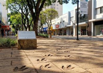 O "Jurassic Park" com mil pegadas de dinossauros fica em uma das cidades mais prósperas e ideal para viver no interior de São Paulo