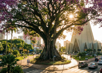 Com 98,4% de escolarização e alta qualidade de vida, a "Cidade Árvore do Mundo" lidera o ranking como a melhor do Brasil para viver
